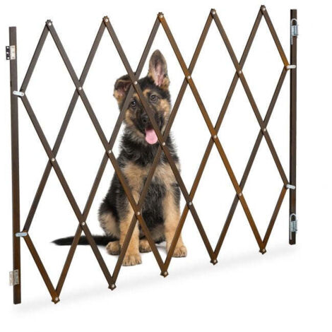Protezione per cani estensibile in marrone