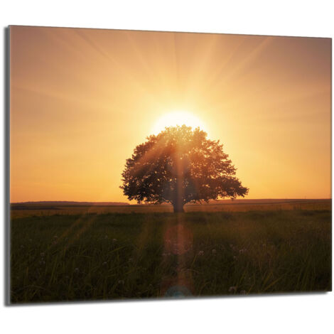 Protezione per piano cottura in vetro 60x52 Tree