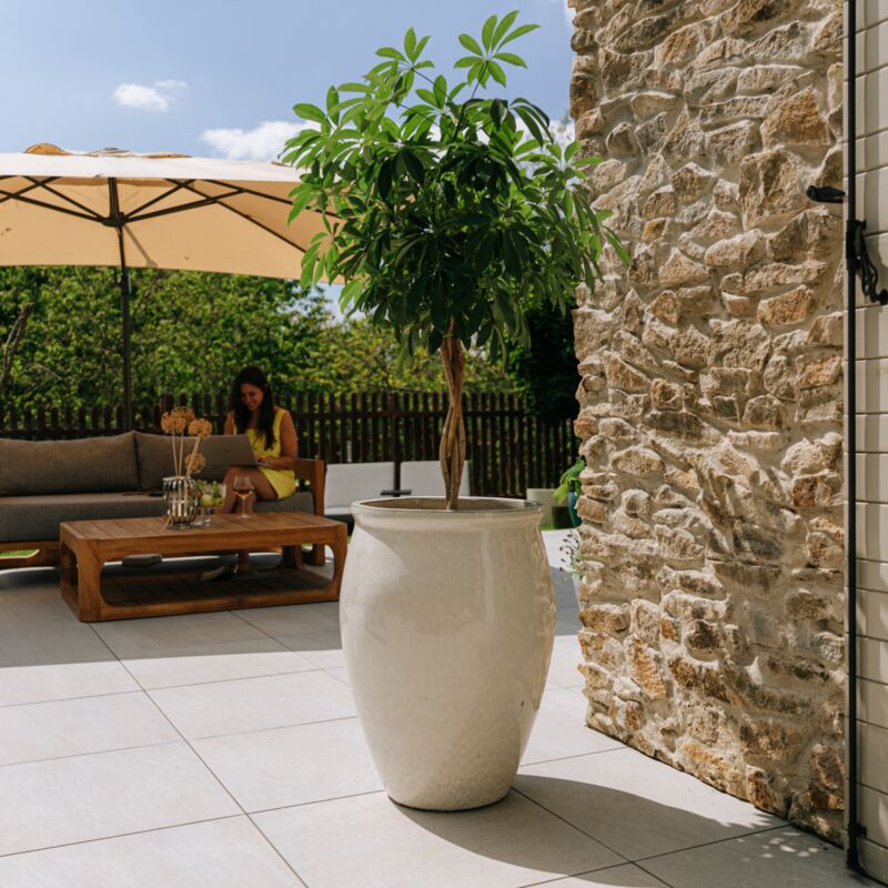 Pot grande taille d'extérieur bacchus 50x68cm fait main en terre cuite émaillée résistant au gel, crème