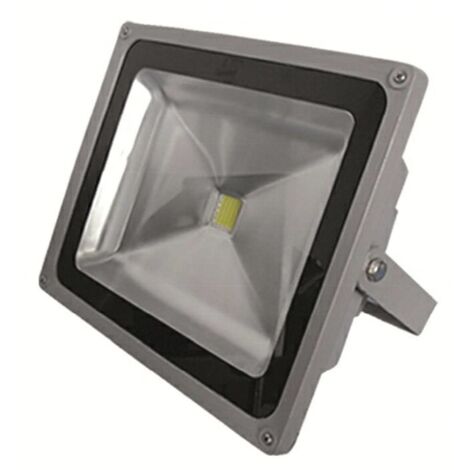 Proyector LED (10W)