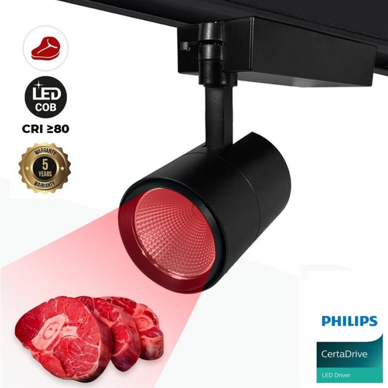 

Proyector LED 20W 2100lm IP65 - BVP154 Blanco neutro 4000K - Philips