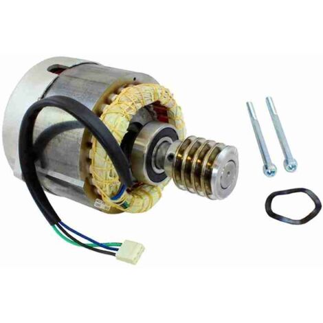 PRRO01 Groupe de stator électrique Rotor ROBO 1000 RO1000 Pièce de rechange d'origine NICE PRRO01