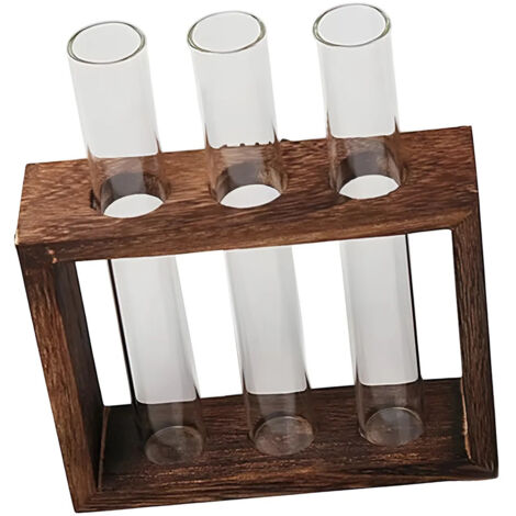 Prsentoir floral hydroponique Terrario Regalo nico Estilo B