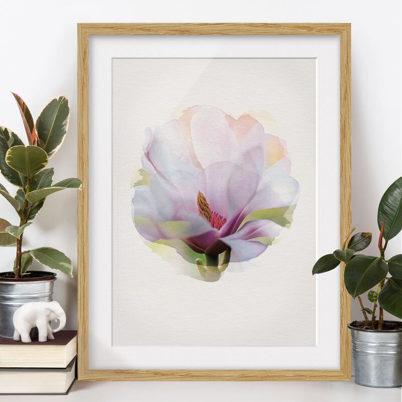 

Póster enmarcado - Acquarelli - Delicato Fiore di Magnolia Dimensión LxA: 70cm x 50cm, Marco: Roble