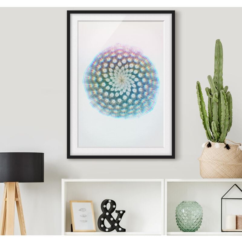 

Póster enmarcado - Acquarelli - Fiore di cactus Dimensión LxA: 70cm x 50cm, Marco: Negro