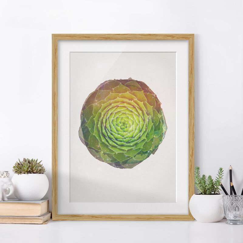 

Póster enmarcado - Acquarelli - Mandala succulente Dimensión LxA: 40cm x 30cm, Marco: Roble