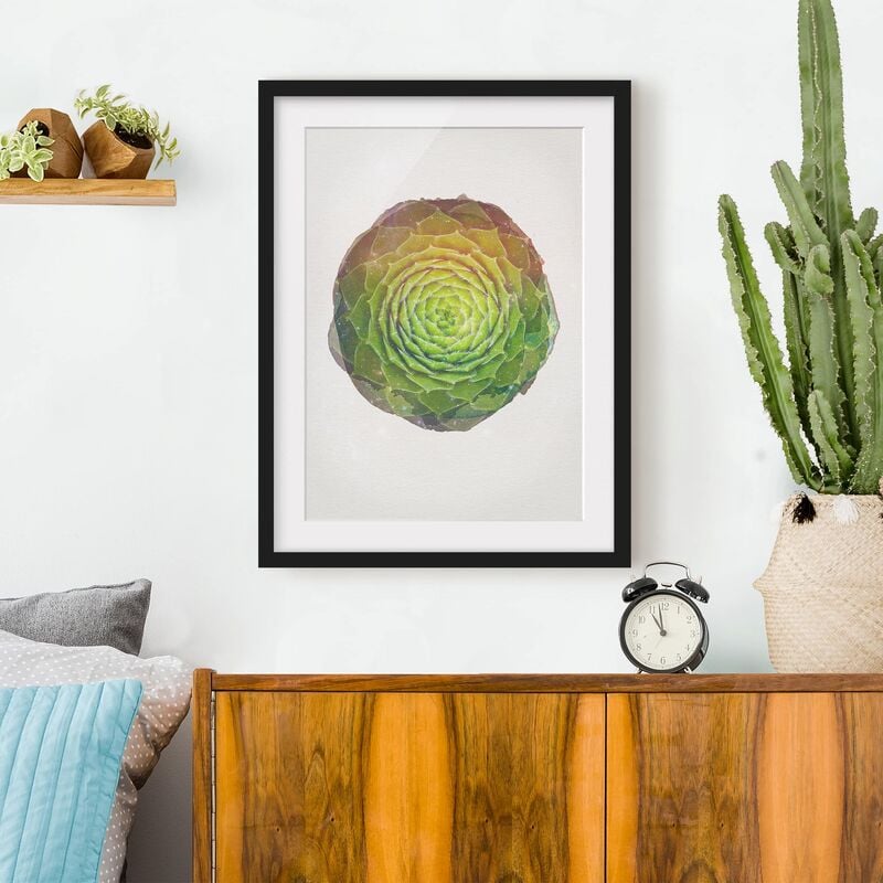 

Póster enmarcado - Acquarelli - Mandala succulente Dimensión LxA: 40cm x 30cm, Marco: Negro