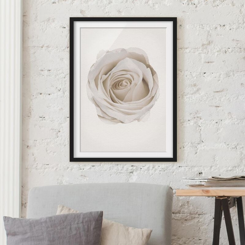 

Póster enmarcado - Acquarelli - Pretty White Rose Dimensión LxA: 70cm x 50cm, Marco: Negro