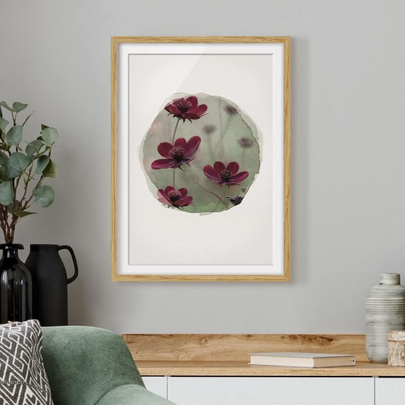 

Póster enmarcado - Acquarelli - Rosa Kosmeen Dimensión LxA: 70cm x 50cm, Marco: Roble