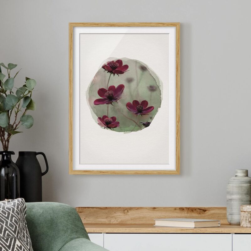 

Póster enmarcado - Acquarelli - Rosa Kosmeen Dimensión LxA: 55cm x 40cm, Marco: Roble