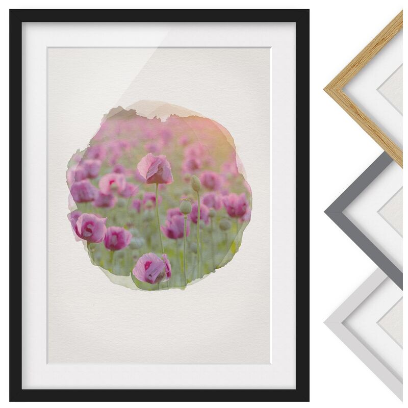 

Póster enmarcado - Acquarelli - Viola di papavero fiori di prato in primavera Dimensión LxA: 100cm x 70cm, Marco: Negro