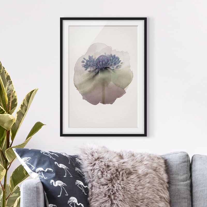 

Póster enmarcado - Acquerelli - Anemone Nella Viola Dimensión LxA: 70cm x 50cm, Marco: Negro