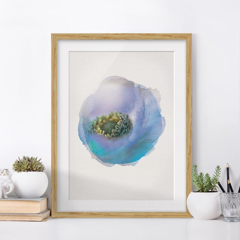 

Póster enmarcado - Acquerelli - Anemone Sul Fiume Dimensión LxA: 55cm x 40cm, Marco: Roble