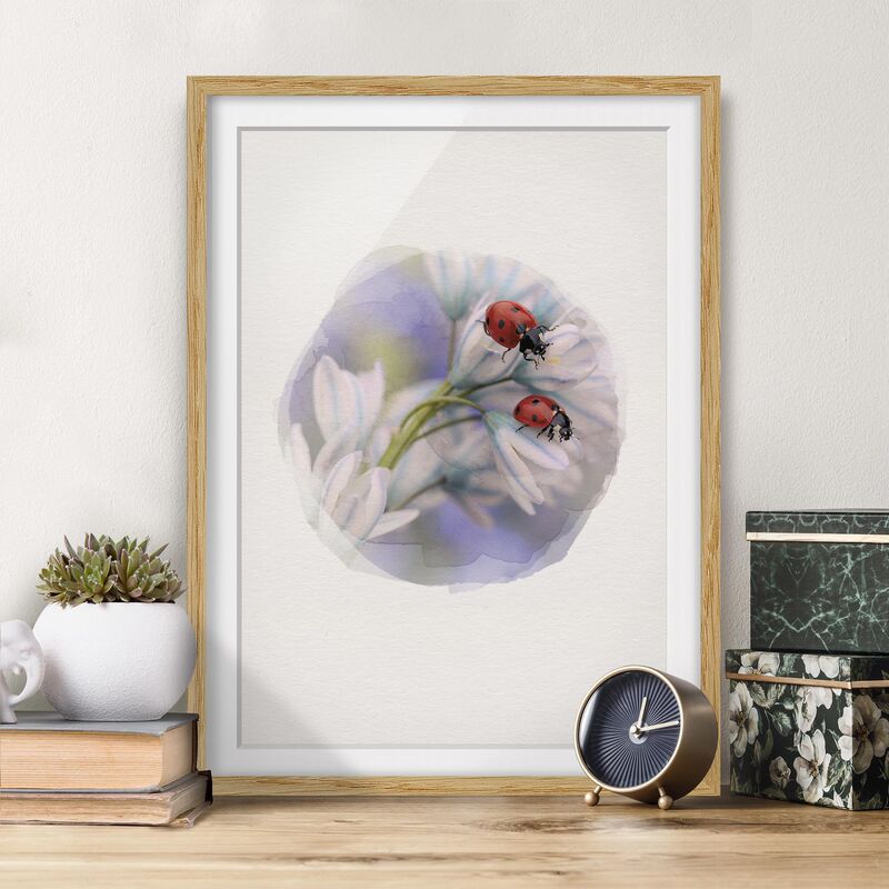 

Póster enmarcado - Acquerelli - Coccinella coppia Dimensión LxA: 24cm x 18cm, Marco: Roble