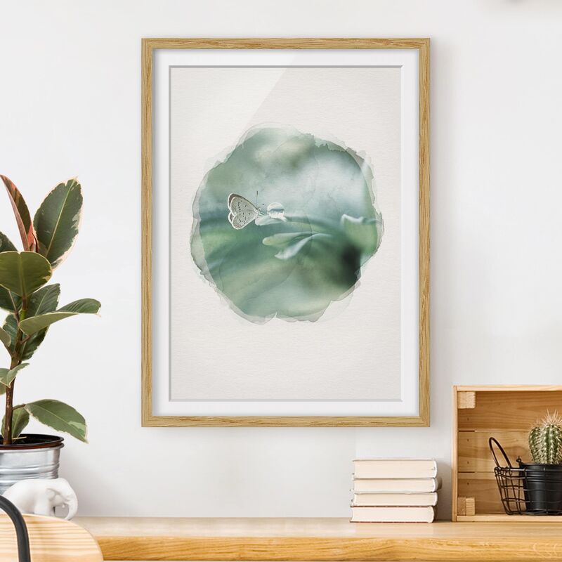 

Póster enmarcado - Acquerelli - Farfalla E gocce di rugiada In Pastel Verde Dimensión LxA: 70cm x 50cm, Marco: Roble