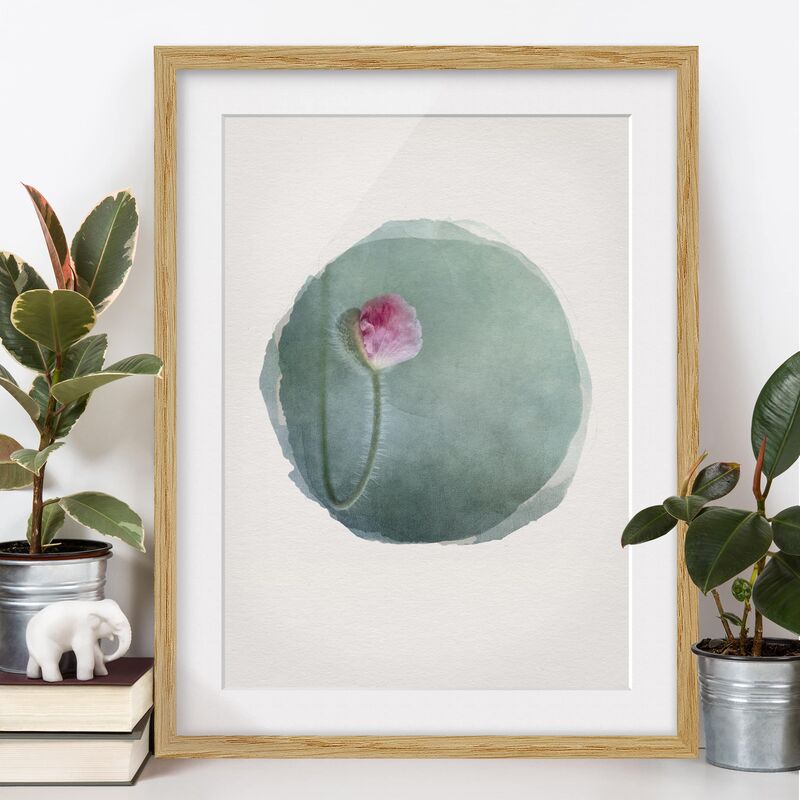 

Póster enmarcado - Acquerelli - Fiore In Rosa Dimensión LxA: 70cm x 50cm, Marco: Roble