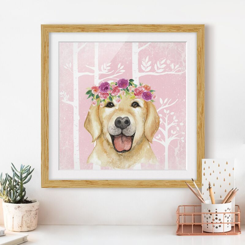 

Póster enmarcado - Acquerello Retriever Rosa Dimensión LxA: 30cm x 30cm, Marco: Roble