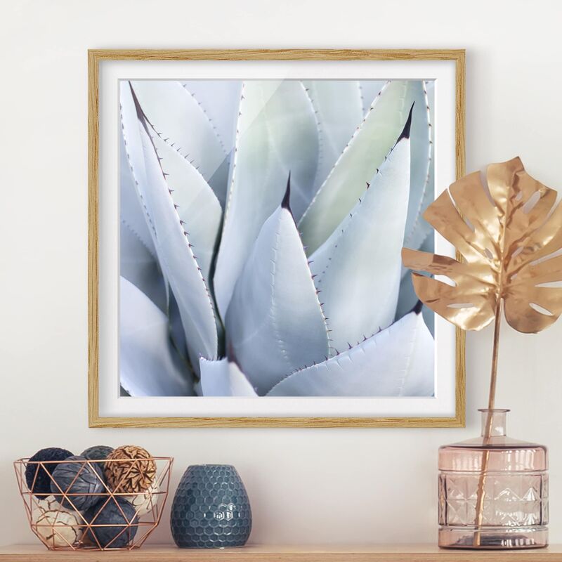 

Póster enmarcado - Agave Dimensión LxA: 70cm x 70cm, Marco: Roble