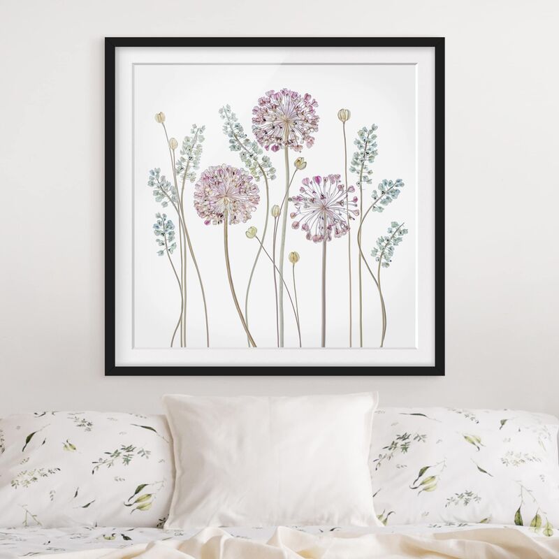 

Póster enmarcado - Allium Illustration Dimensión LxA: 30cm x 30cm, Marco: Negro