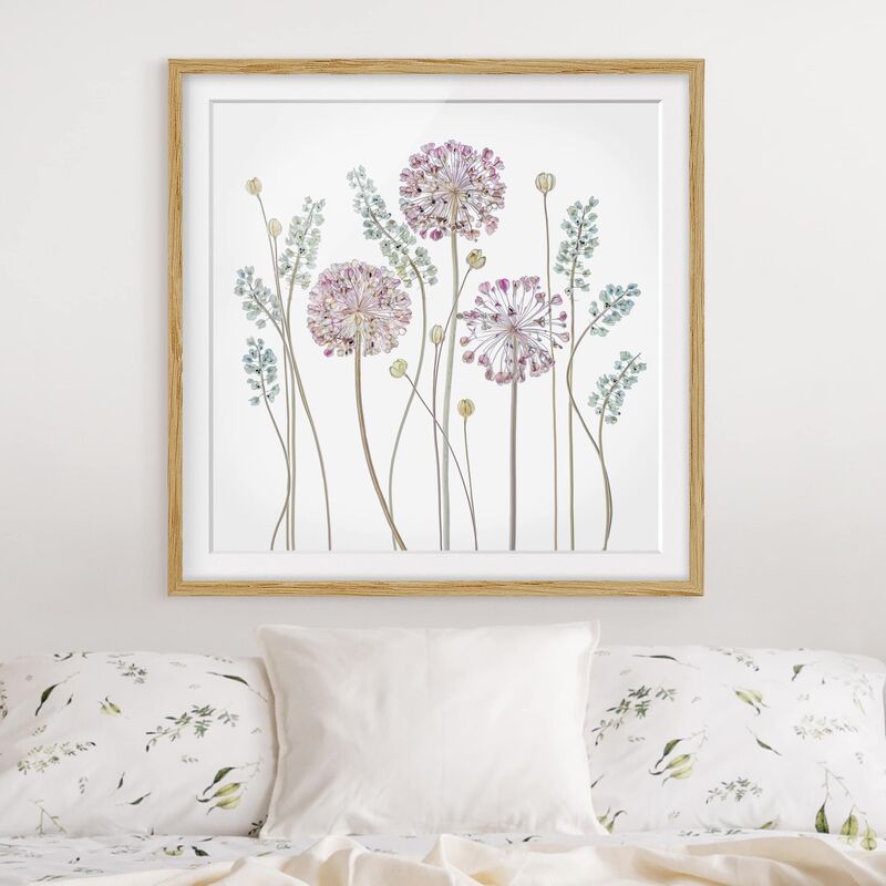 

Póster enmarcado - Allium Illustration Dimensión LxA: 30cm x 30cm, Marco: Roble