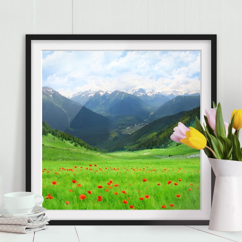 

Póster enmarcado - Alpine Meadow Dimensión LxA: 70cm x 70cm, Marco: Negro
