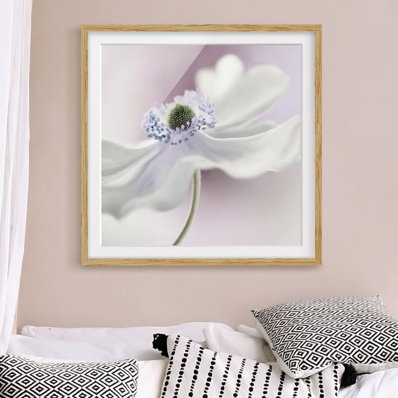 

Póster enmarcado - Anemones Breeze Dimensión LxA: 50cm x 50cm, Marco: Roble