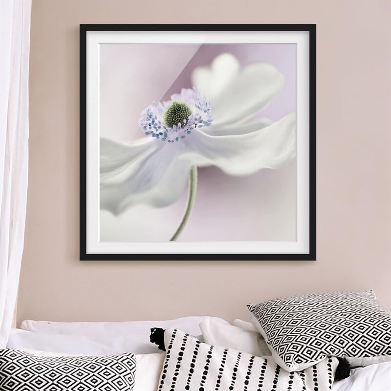 

Póster enmarcado - Anemones Breeze Dimensión LxA: 30cm x 30cm, Marco: Negro