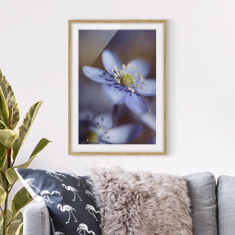 

Póster enmarcado - Anemones In Blue Dimensión LxA: 24cm x 18cm, Marco: Roble