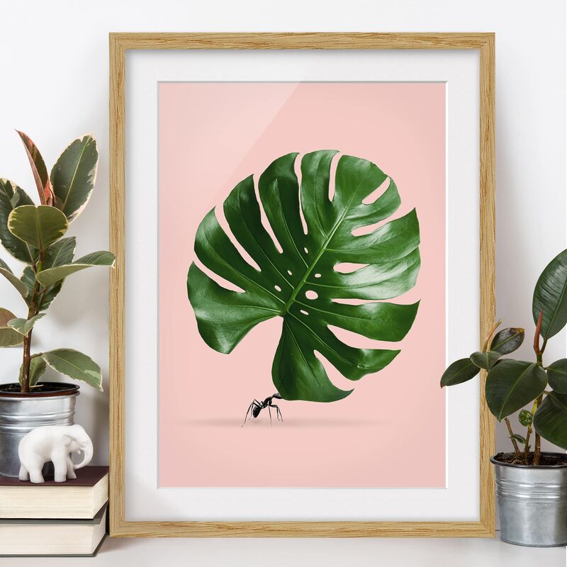 

Póster enmarcado - Ant con Leaf Monstera Dimensión LxA: 55cm x 40cm, Marco: Roble