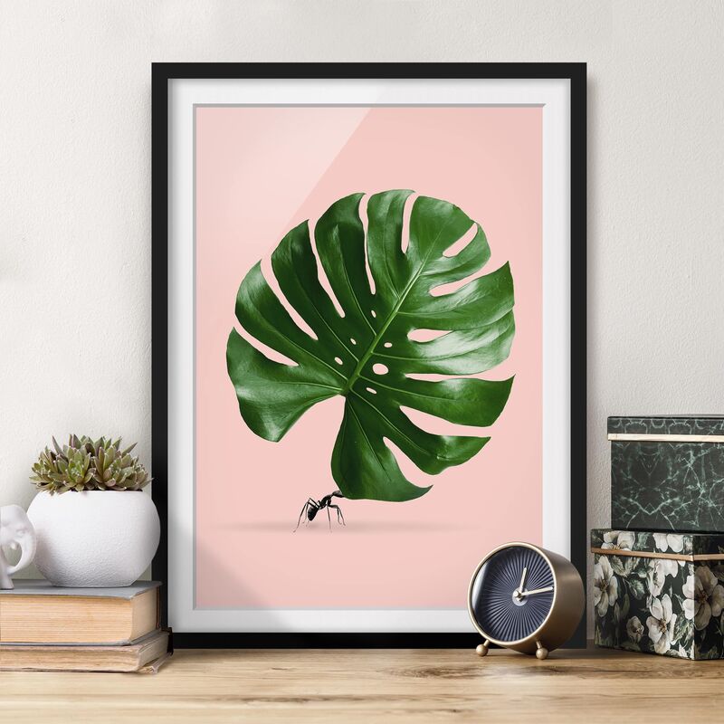 

Póster enmarcado - Ant con Leaf Monstera Dimensión LxA: 70cm x 50cm, Marco: Negro