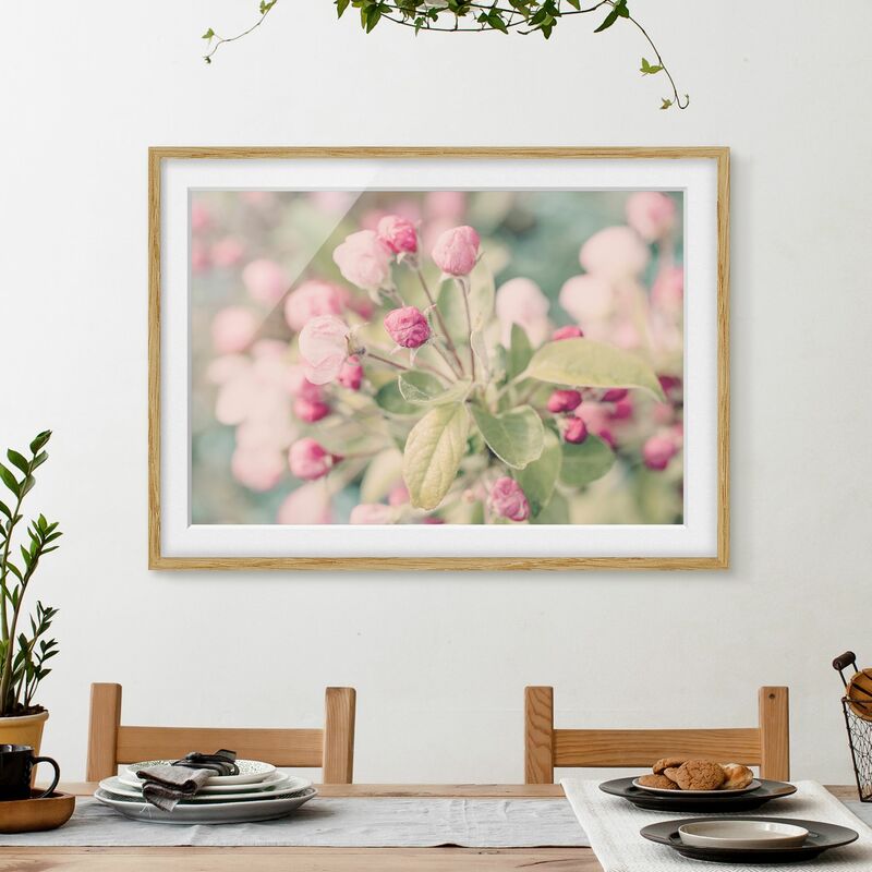 

Póster enmarcado - Apple Blossom rosa bokeh Dimensión LxA: 30cm x 40cm, Marco: Roble