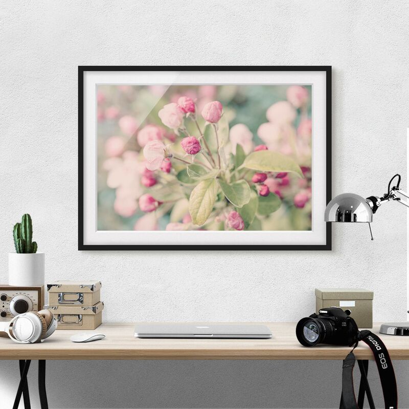 

Póster enmarcado - Apple Blossom rosa bokeh Dimensión LxA: 40cm x 55cm, Marco: Negro