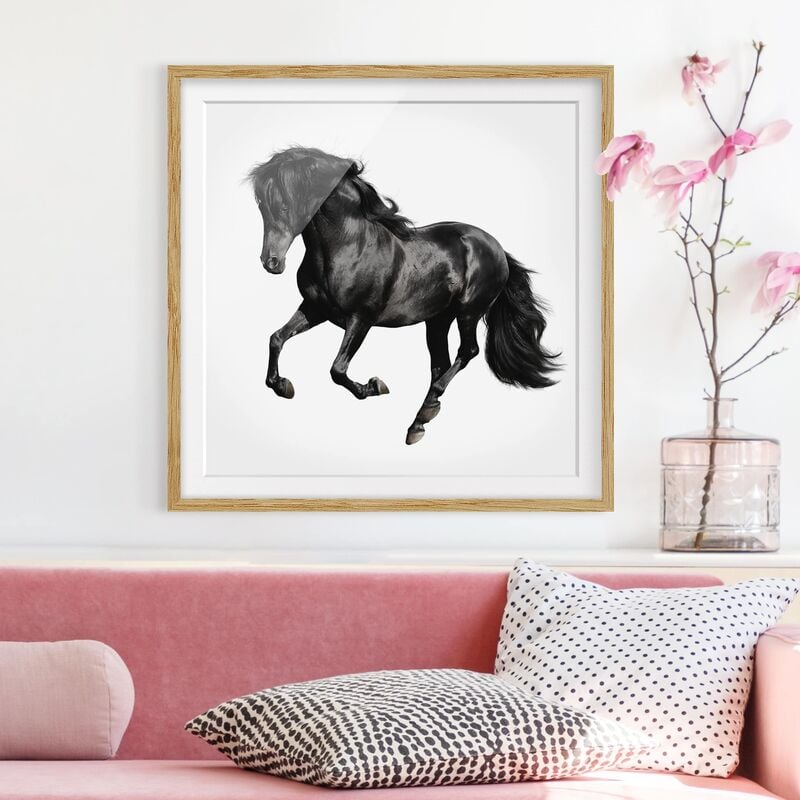 

Póster enmarcado - Arabian Stallion Dimensión LxA: 20cm x 20cm, Marco: Roble
