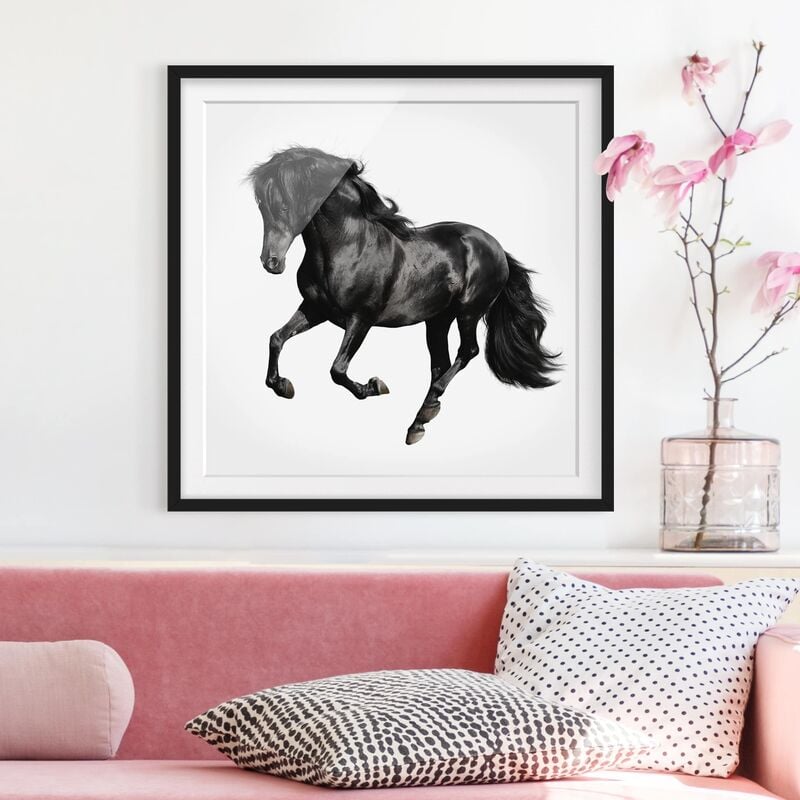 

Póster enmarcado - Arabian Stallion Dimensión LxA: 30cm x 30cm, Marco: Negro