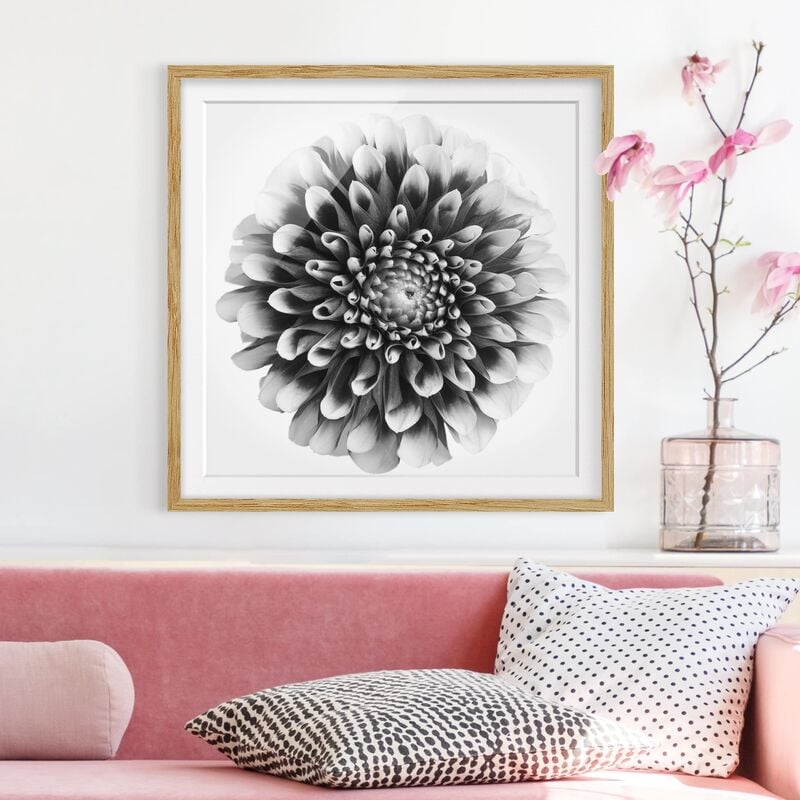 

Póster enmarcado - Aster II Dimensión LxA: 20cm x 20cm, Marco: Roble