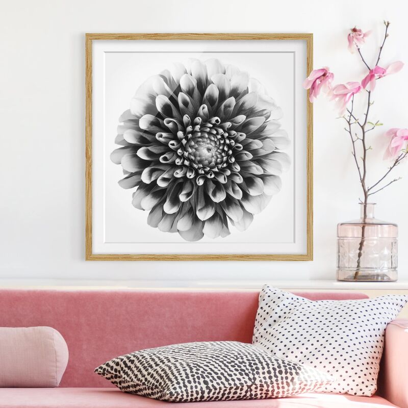 

Póster enmarcado - Aster II Dimensión LxA: 30cm x 30cm, Marco: Roble