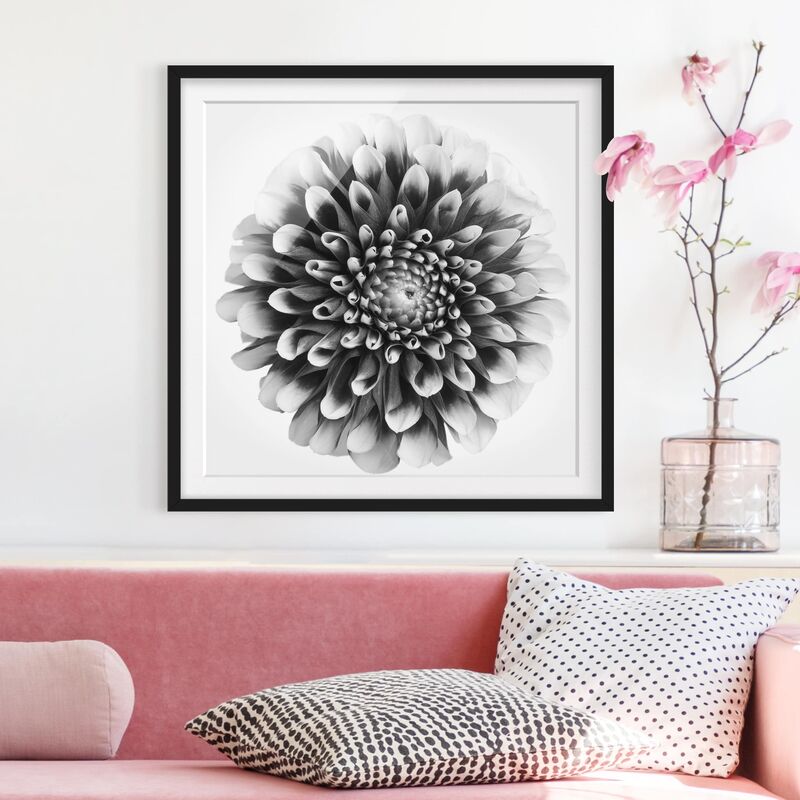

Póster enmarcado - Aster II Dimensión LxA: 70cm x 70cm, Marco: Negro