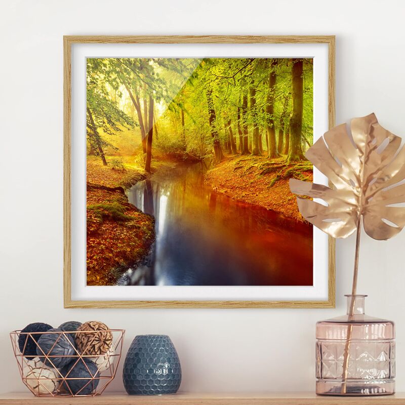 

Póster enmarcado - Autumn Forest Dimensión LxA: 70cm x 70cm, Marco: Roble