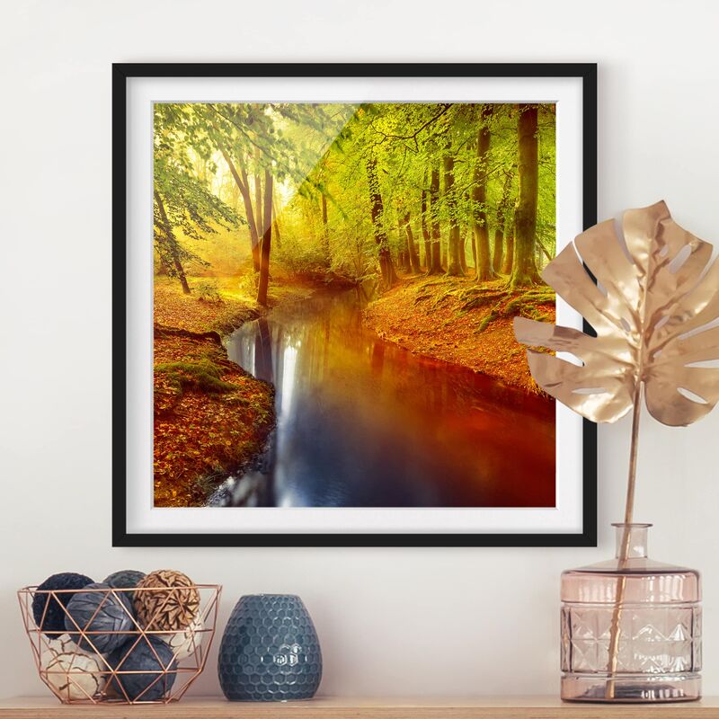 

Póster enmarcado - Autumn Forest Dimensión LxA: 20cm x 20cm, Marco: Negro