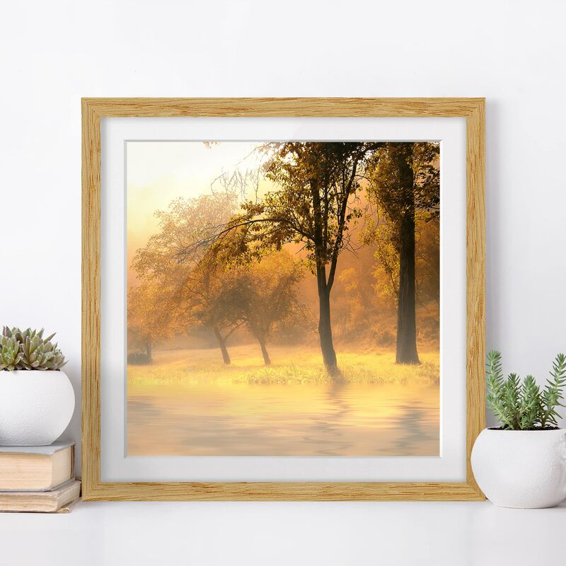 

Póster enmarcado - Autumn Morning Dimensión LxA: 50cm x 50cm, Marco: Roble