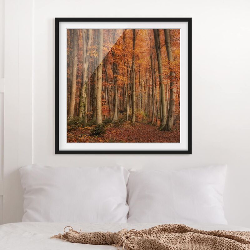 

Póster enmarcado - Autumn Walk Dimensión LxA: 70cm x 70cm, Marco: Negro