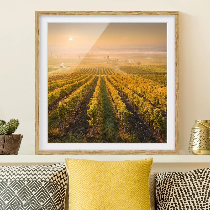 

Póster enmarcado - Autumnal Vineyards Near Vienna Dimensión LxA: 30cm x 30cm, Marco: Roble