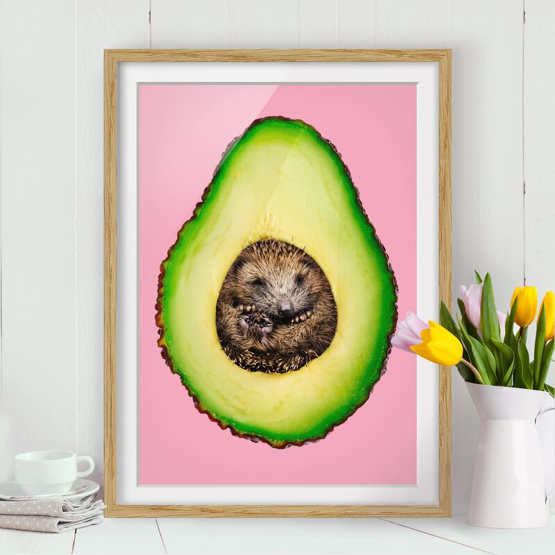 

Póster enmarcado - Avocado Con Hedgehog Dimensión LxA: 40cm x 30cm, Marco: Roble