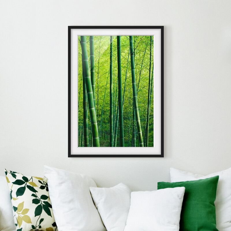 

Póster enmarcado - Bamboo Forest Dimensión LxA: 70cm x 50cm, Marco: Negro