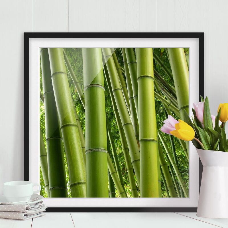 

Póster enmarcado - Bamboo Trees Dimensión LxA: 50cm x 50cm, Marco: Negro