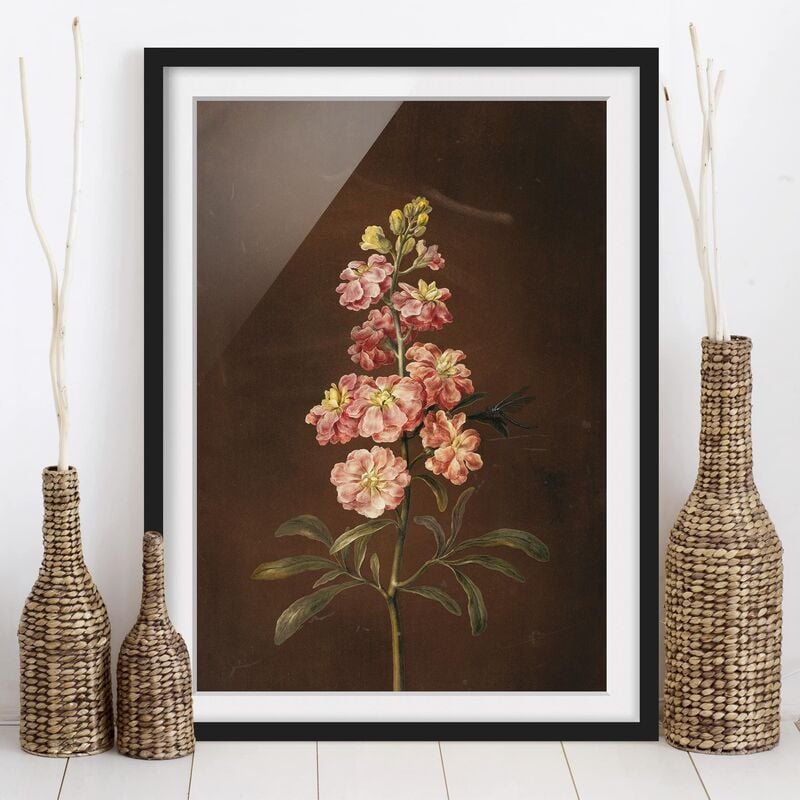 

Póster enmarcado - Barbara Regina Dietzsch - Un Pink Garden Levkkoje Dimensión LxA: 40cm x 30cm, Marco: Negro