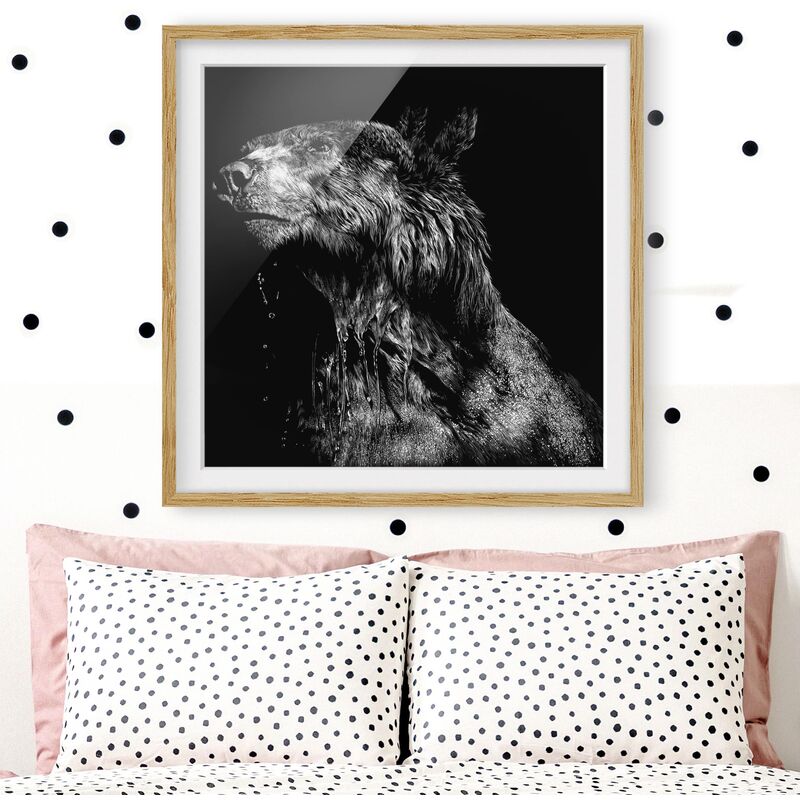 

Póster enmarcado - Bear In The Dark Dimensión LxA: 50cm x 50cm, Marco: Roble