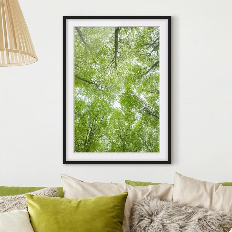 

Póster enmarcado - Beech Forest On Lindkogel Dimensión LxA: 70cm x 50cm, Marco: Negro