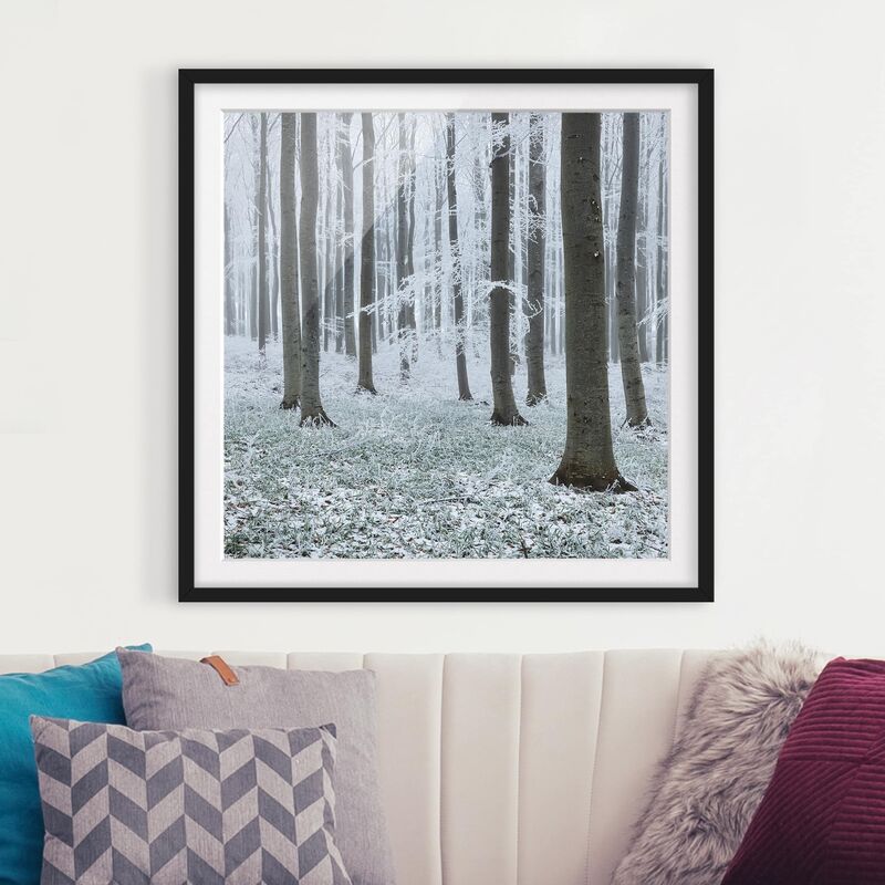 

Póster enmarcado - Beeches With Hoarfrost Dimensión LxA: 70cm x 70cm, Marco: Negro