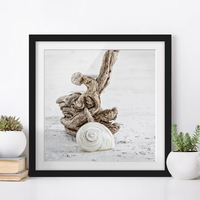 

Póster enmarcado - Bianco guscio di lumaca e Burl Dimensión LxA: 20cm x 20cm, Marco: Negro